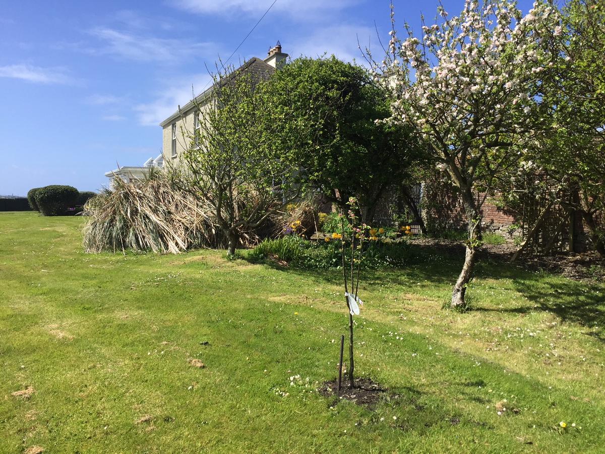Berry Lodge Country House Spanish Point Extérieur photo